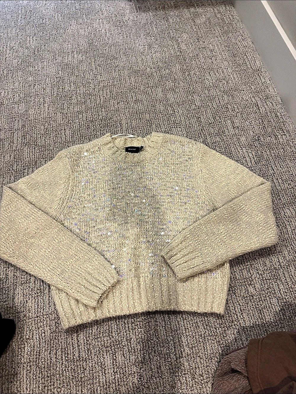 RD Style Sequin Crew Neck Sweater in Cream